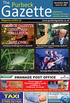 issue 202