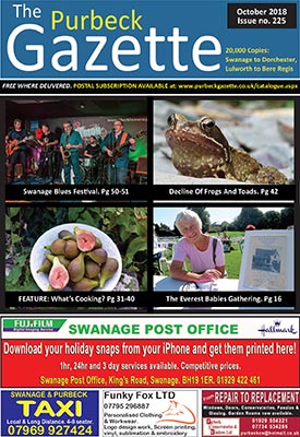 issue 225