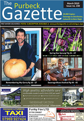 issue 230