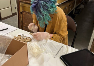 Francis Crick Institute research scientist Jesse McCabe examines fragments from the Tarrant Hinton burialsPHOTO: Museum of East Dorset