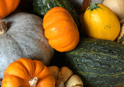 Pick any squash to make this tasty soup