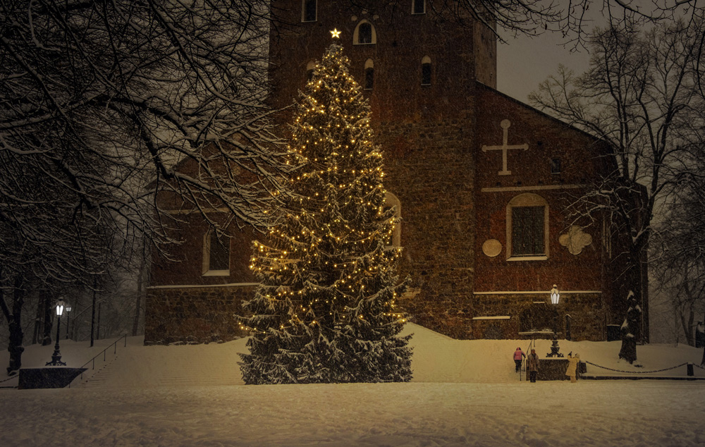 Photo by Jarkko Mänty, Pixabay