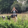 Festival Focuses on Natural Good Health