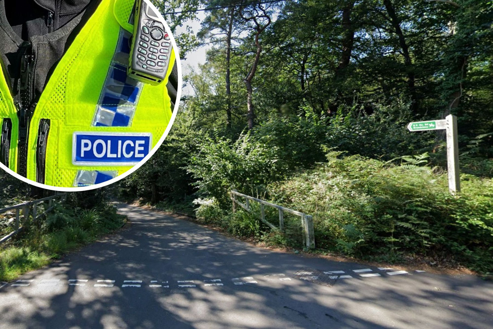 Photo: Google/Dorset Police