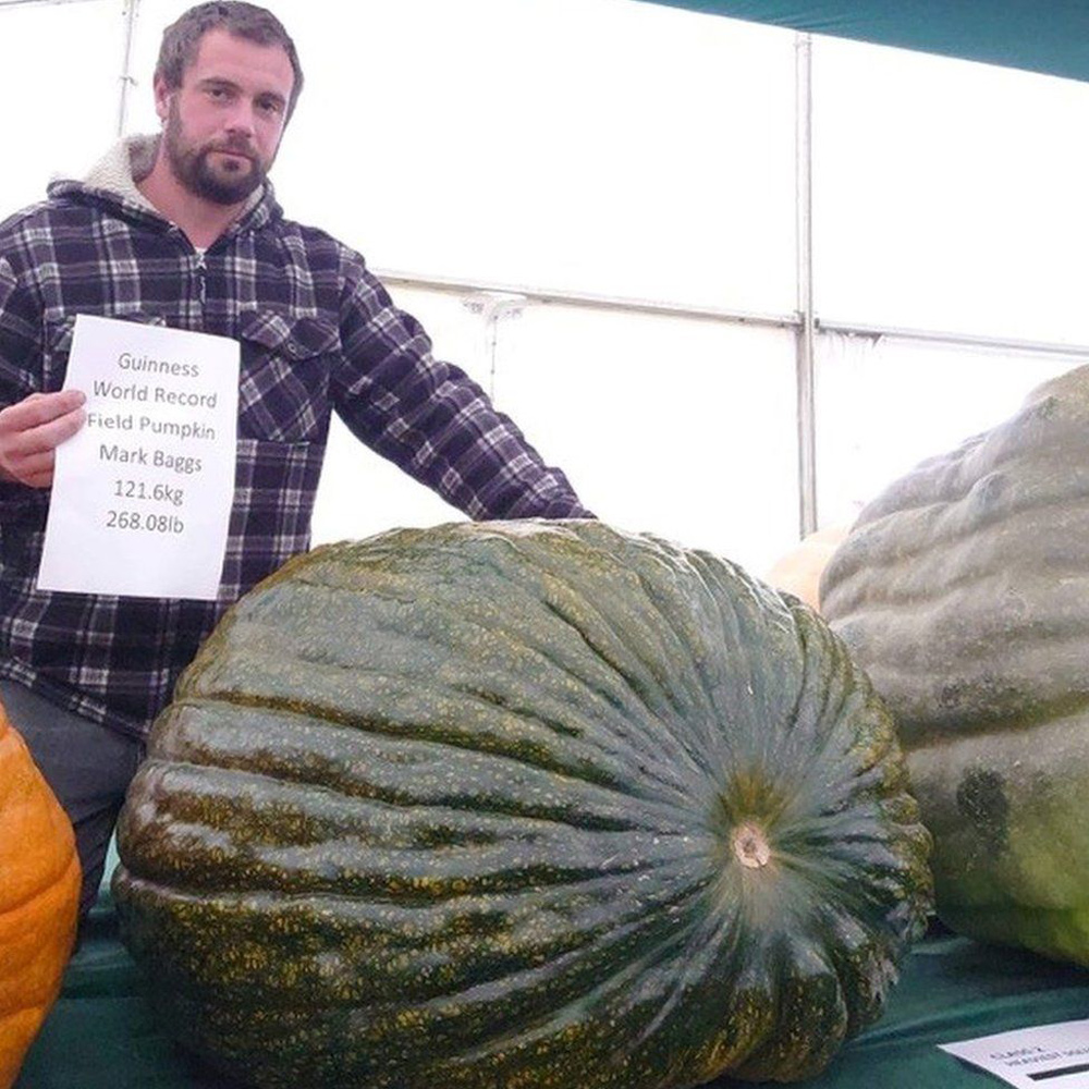 Mark Baggs Giant Pumpkin