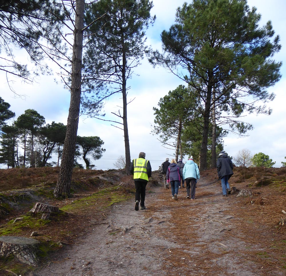 Avon Heath Country Park Walking Group