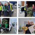 Lewis Manning Hospice Care Tree Collection