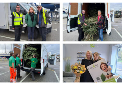 Lewis Manning Hospice Care Tree Collection