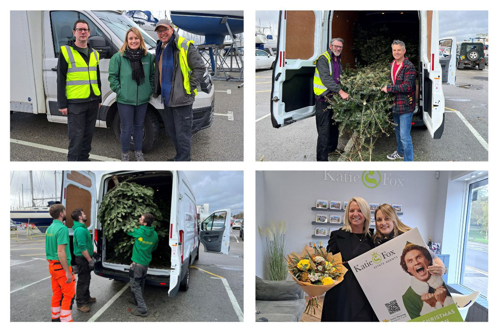 Lewis Manning Hospice Care Tree Collection