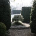 Yew hedging in Sally Gregson’s last garden