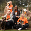 The Ellis Jones team picture with their dogs are, from left, Paige Abbott with Maddie, Jessica Khelifi with Molly (standing up), Raluca Parker with Lucy and Daisy Kershaw with Poppy