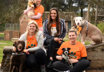 The Ellis Jones team picture with their dogs are, from left, Paige Abbott with Maddie, Jessica Khelifi with Molly (standing up), Raluca Parker with Lucy and Daisy Kershaw with Poppy