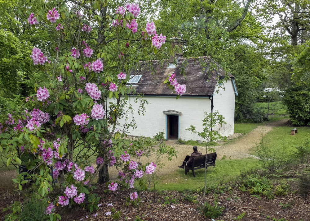 A visitor relaxing in the garden at Clouds Hill, Dorset, the cottage that belonged to TE Lawrence PICTURE: National Trust Images/Tony Gill