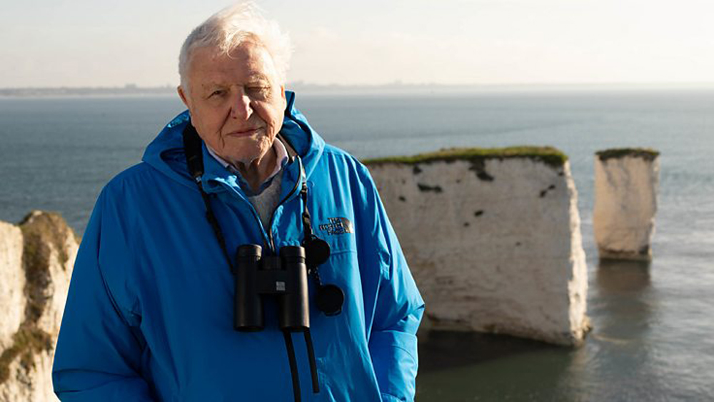 Sir David Attenborough at the Old Harry Rocks. Photo: BBC