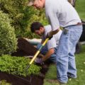 Mulching can help your garden flurish – and has many benefits, including reducing the amount of time you spend weeding