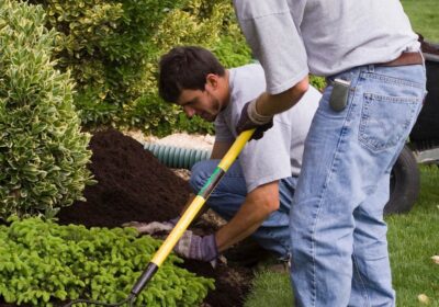 Mulching can help your garden flurish – and has many benefits, including reducing the amount of time you spend weeding