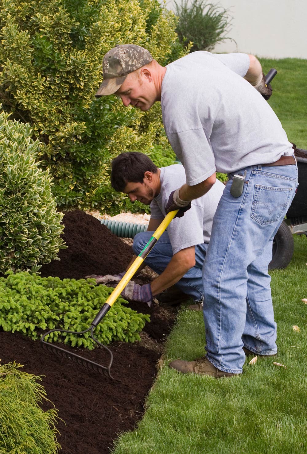 Mulching can help your garden flurish – and has many benefits, including reducing the amount of time you spend weeding