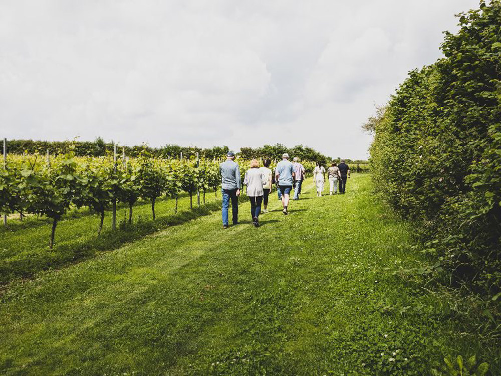 Tours are running again at the Langham Wine Estate