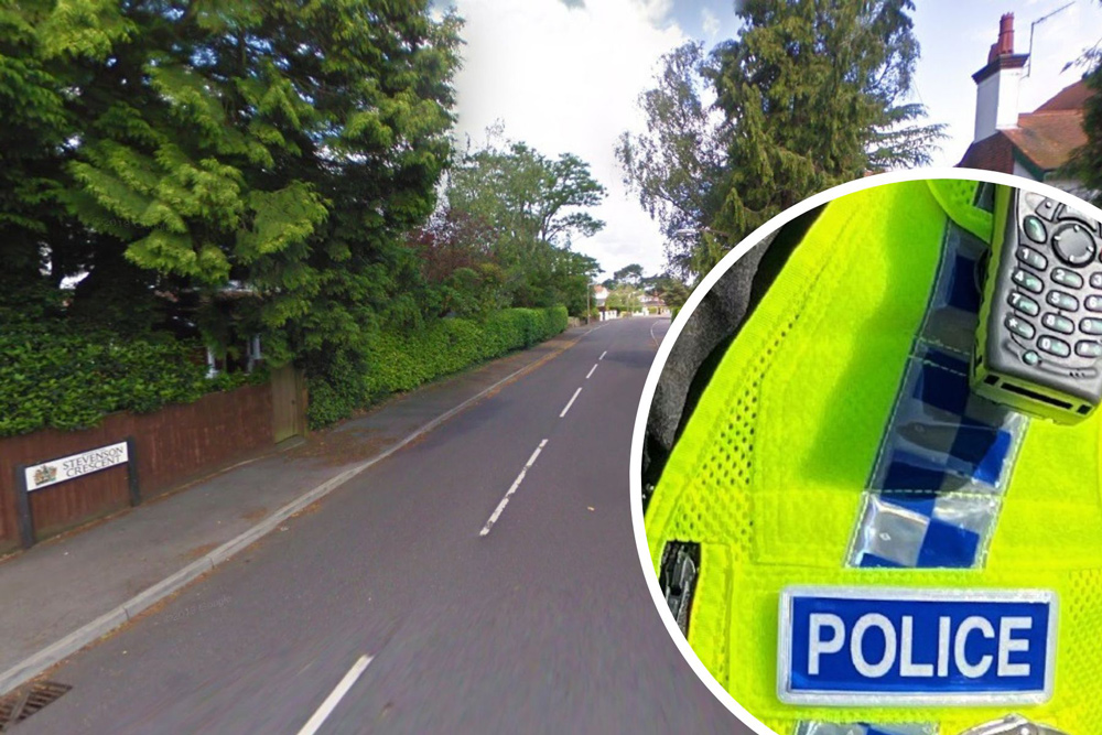 Steveson Crescent in Poole. Photo: Google