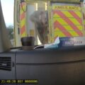 James Macky assaulted the ambulance worker in June last year. Picture: SWASFT