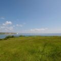 Part of the new Swanage Downs nature reserve. Picture: Sustainable Swanage
