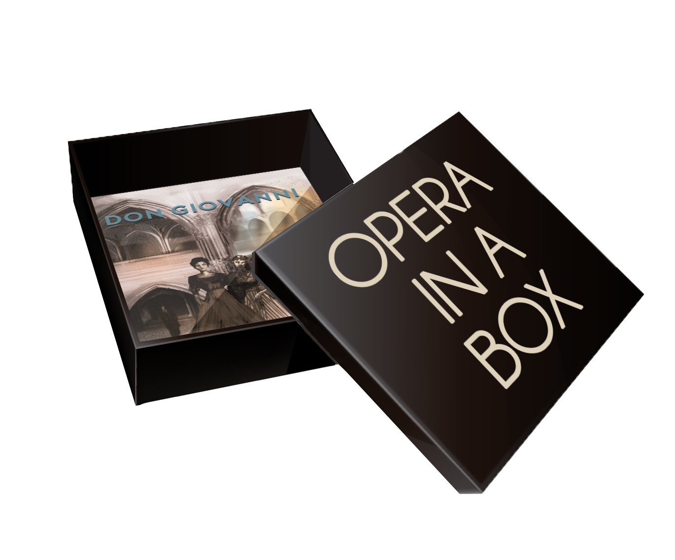 Opera in a Box: Don Giovanni