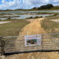 Lysander Lake is about three acres and will be used for coarse fishing with Lucy’s Pool, about a third of the size, stocked with carp