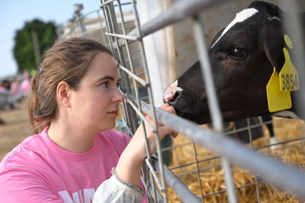 A protestor at the Dorset farm. Picture: Animal Rising