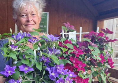 Goulds plant manager Sue Butterworth with clematis
