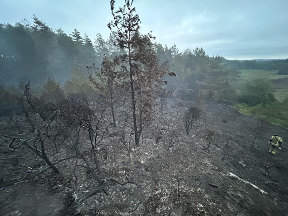 Fire broke out in Verwood Forest on Wednesday afternoon. Picture: Swanage Fire Station