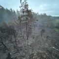 Fire broke out in Verwood Forest on Wednesday afternoon. Picture: Swanage Fire Station