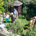11 gardens in Wareham opened in aid of Rotary Club charities