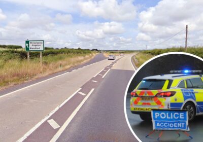 The crash happened on the A31 at Bere Regis, according to Dorset Police