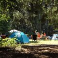 Land owners can host 'pop-up' campsites for up to 60 days a year, under new rules