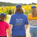 The Dorset Sunflower Trail opens on July 28 at Maiden Castle Farm near Dorchester