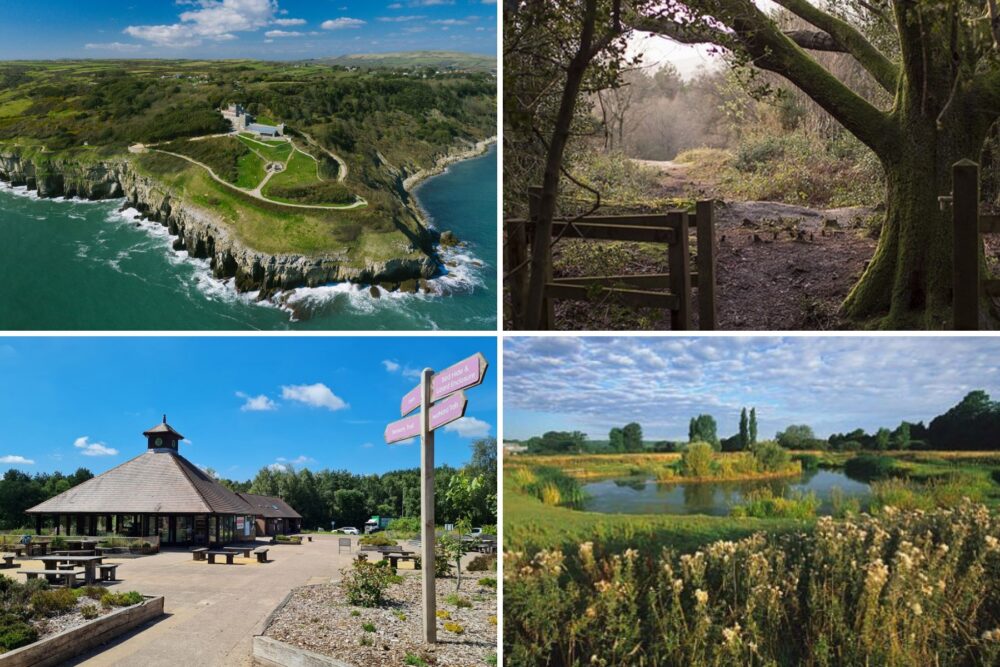 Durlston Country Park, Thorncombe Woods, Stour Meadows and Avon Heath have all been handed Green Flag Awards