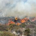 Firefighters battled the blaze at Studland all day. Pictures: Swanage Fire Station