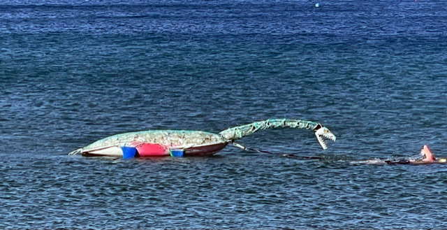 Percy the Plesiosaur off the Swanage coast with extreme swimmer, Oly Rush