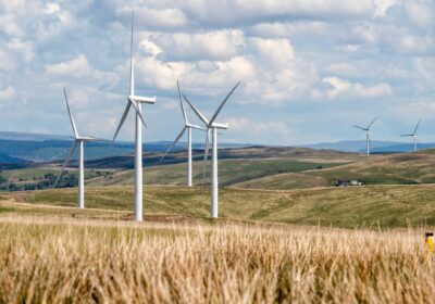 Wind farms are supported by up to 80% of people, according to the study