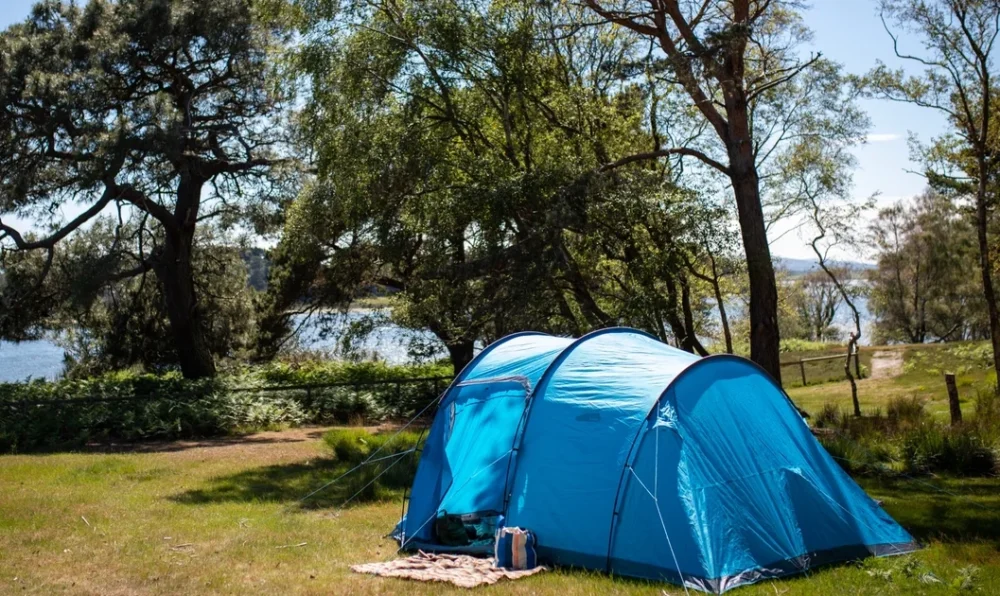 The Brownsea Island campsite boasts views across Poole Harbour. Picture: National Trust/Robin Kitchin