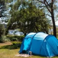 The Brownsea Island campsite boasts views across Poole Harbour. Picture: National Trust/Robin Kitchin