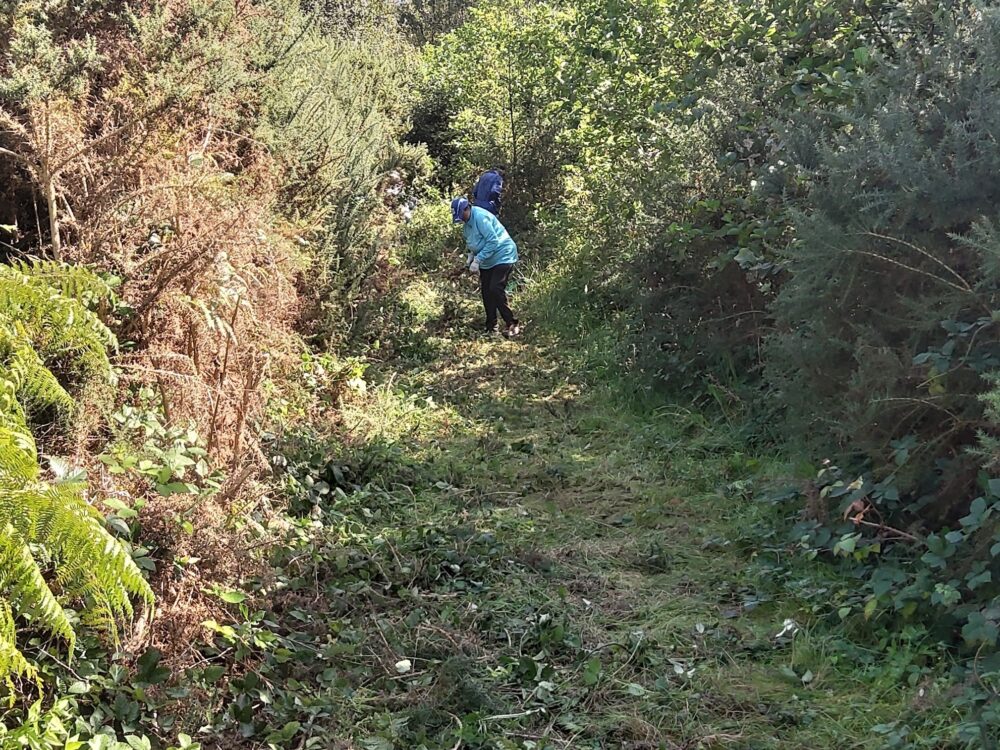Work is underway to clear the former military railway route at Holton Heath