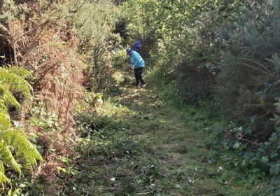 Work is underway to clear the former military railway route at Holton Heath
