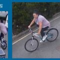 Police would like to speak to this person after the theft of an electric bike in Christchurch. Picture: Dorset Police