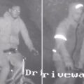 Police are keen to trace these two people in connection with the thefts, in Poole. Pictures: Dorset Police