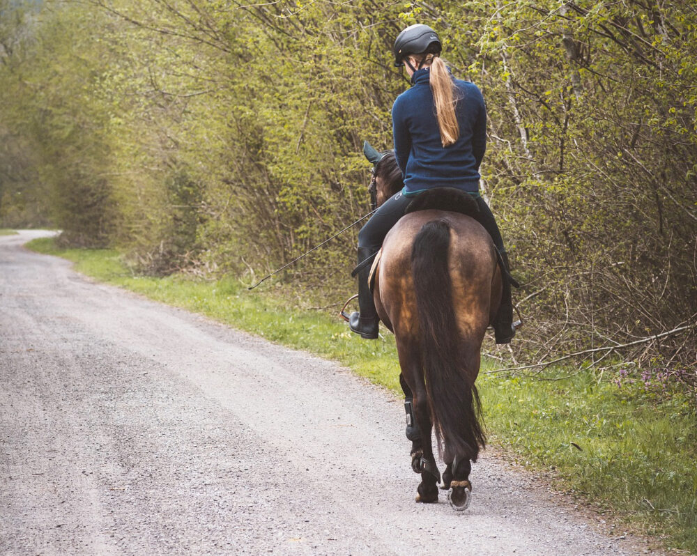 The Highway Code has changed advice on passing horses