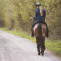 The Highway Code has changed advice on passing horses