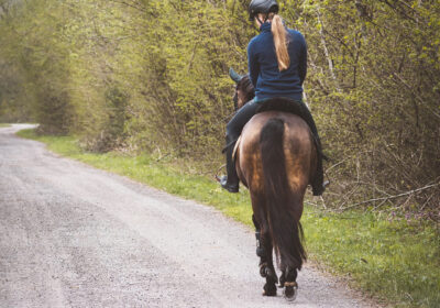 The Highway Code has changed advice on passing horses