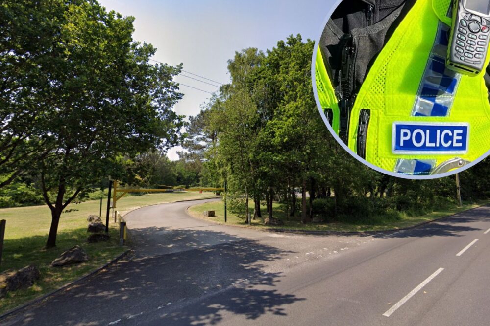 The alleged sexual assault took place in woodland between Springdale Road and Corfe Lodge Road, Corfe Mullen