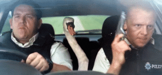 The famous scene in Hot Fuzz